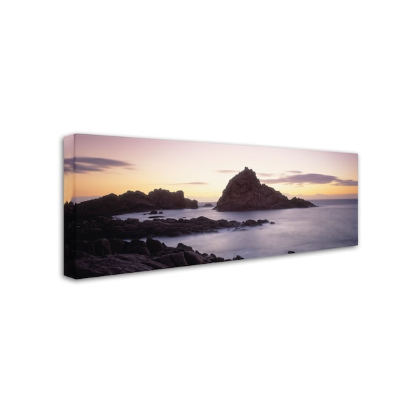 David Evans 'Sugarloaf Rock-WA' Canvas Art,6x19